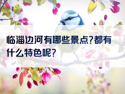临淄边河有哪些景点？都有什么特色呢？