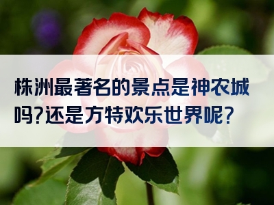 株洲最著名的景点是神农城吗？还是方特欢乐世界呢？