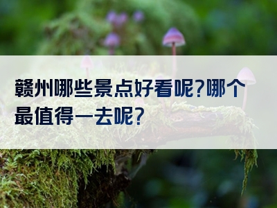 赣州哪些景点好看呢？哪个最值得一去呢？