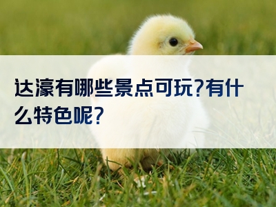 达濠有哪些景点可玩？有什么特色呢？