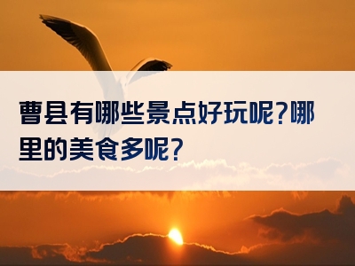 曹县有哪些景点好玩呢？哪里的美食多呢？