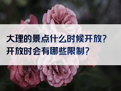 大理的景点什么时候开放？开放时会有哪些限制？