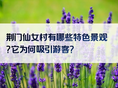 荆门仙女村有哪些特色景观？它为何吸引游客？