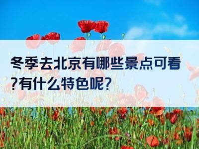 冬季去北京有哪些景点可看？有什么特色呢？