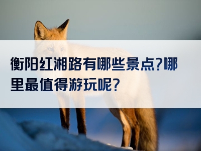 衡阳红湘路有哪些景点？哪里最值得游玩呢？