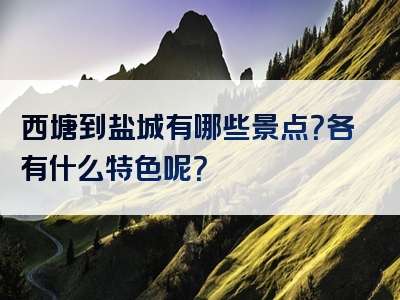 西塘到盐城有哪些景点？各有什么特色呢？