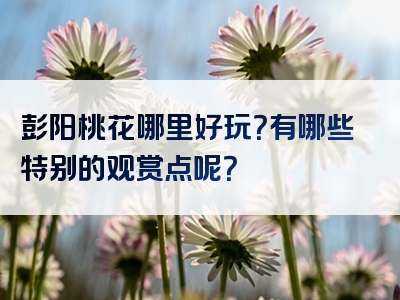彭阳桃花哪里好玩？有哪些特别的观赏点呢？