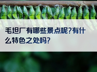 毛坦厂有哪些景点呢？有什么特色之处吗？