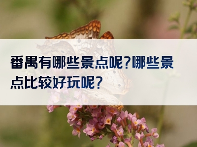 番禺有哪些景点呢？哪些景点比较好玩呢？