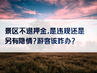 景区不退押金，是违规还是另有隐情？游客该咋办？