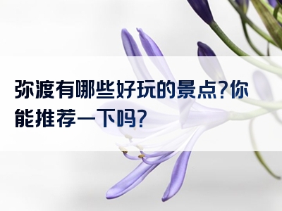 弥渡有哪些好玩的景点？你能推荐一下吗？
