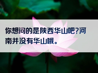 你想问的是陕西华山吧？河南并没有华山哦。