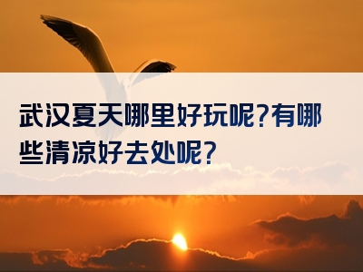 武汉夏天哪里好玩呢？有哪些清凉好去处呢？