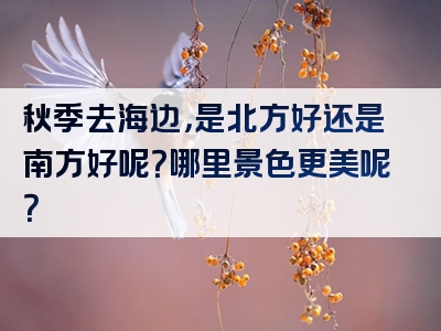 秋季去海边，是北方好还是南方好呢？哪里景色更美呢？
