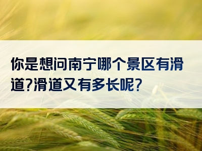 你是想问南宁哪个景区有滑道？滑道又有多长呢？