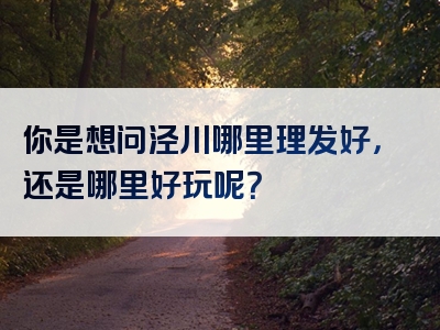 你是想问泾川哪里理发好，还是哪里好玩呢？