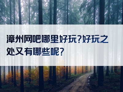 漳州网吧哪里好玩？好玩之处又有哪些呢？