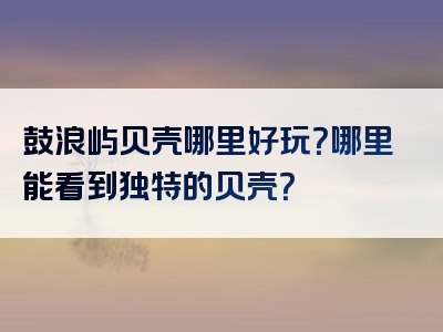 鼓浪屿贝壳哪里好玩？哪里能看到独特的贝壳？