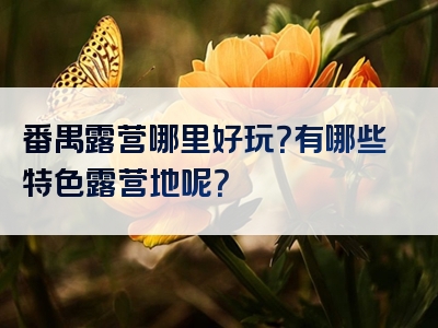 番禺露营哪里好玩？有哪些特色露营地呢？