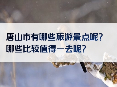 唐山市有哪些旅游景点呢？哪些比较值得一去呢？