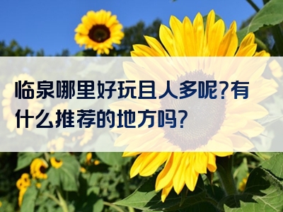 临泉哪里好玩且人多呢？有什么推荐的地方吗？