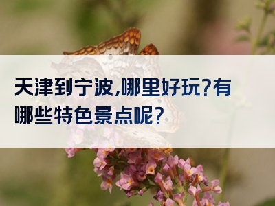 天津到宁波，哪里好玩？有哪些特色景点呢？