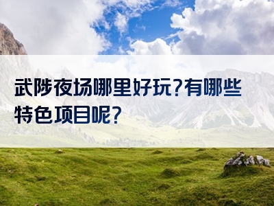 武陟夜场哪里好玩？有哪些特色项目呢？