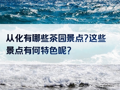 从化有哪些茶园景点？这些景点有何特色呢？