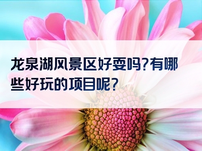 龙泉湖风景区好耍吗？有哪些好玩的项目呢？