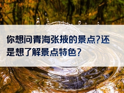 你想问青海张掖的景点？还是想了解景点特色？