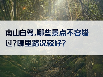 南山自驾，哪些景点不容错过？哪里路况较好？