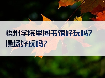 梧州学院里图书馆好玩吗？操场好玩吗？