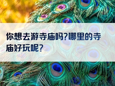 你想去游寺庙吗？哪里的寺庙好玩呢？