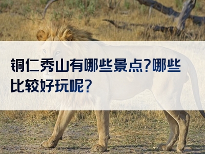 铜仁秀山有哪些景点？哪些比较好玩呢？