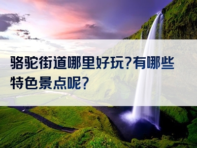 骆驼街道哪里好玩？有哪些特色景点呢？