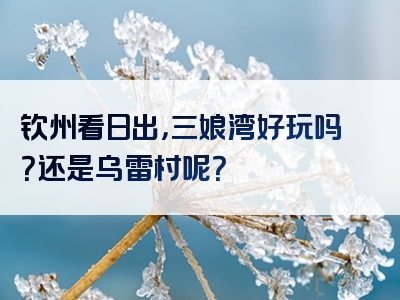 钦州看日出，三娘湾好玩吗？还是乌雷村呢？