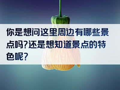 你是想问这里周边有哪些景点吗？还是想知道景点的特色呢？