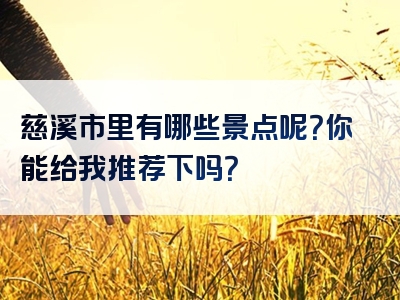 慈溪市里有哪些景点呢？你能给我推荐下吗？