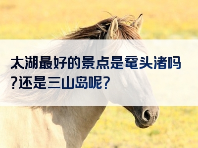 太湖最好的景点是鼋头渚吗？还是三山岛呢？