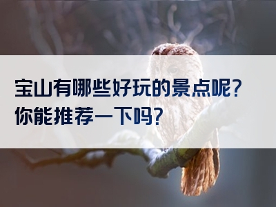 宝山有哪些好玩的景点呢？你能推荐一下吗？