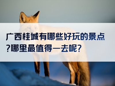 广西桂城有哪些好玩的景点？哪里最值得一去呢？