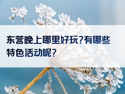东营晚上哪里好玩？有哪些特色活动呢？