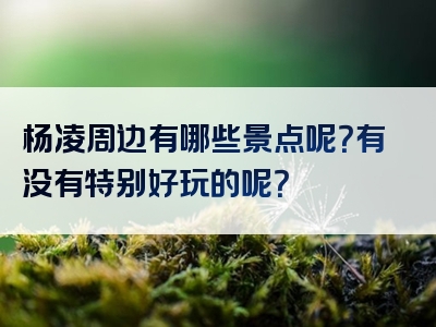 杨凌周边有哪些景点呢？有没有特别好玩的呢？