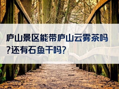 庐山景区能带庐山云雾茶吗？还有石鱼干吗？