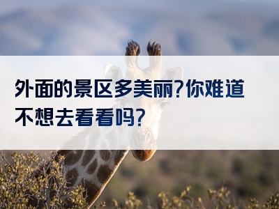外面的景区多美丽？你难道不想去看看吗？