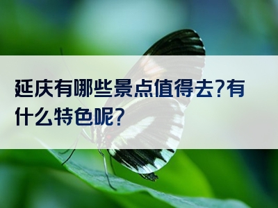 延庆有哪些景点值得去？有什么特色呢？