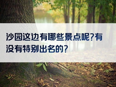 沙园这边有哪些景点呢？有没有特别出名的？