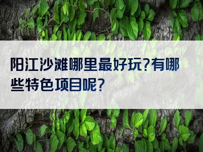 阳江沙滩哪里最好玩？有哪些特色项目呢？