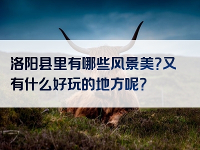 洛阳县里有哪些风景美？又有什么好玩的地方呢？