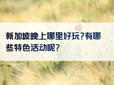 新加坡晚上哪里好玩？有哪些特色活动呢？